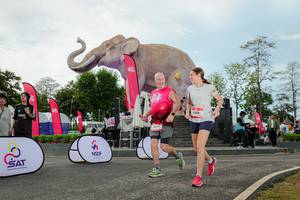 BIB: 
                            <button type="button" onclick="openModal(26529039)" class="btn btn-primary btn-sm float-right btn-popup" data-toggle="modal" data-target=".modal-high-quality">
                        <i class="fas fa-shopping-cart"></i> Add to Cart
                    </button>
                                            <button type="button" onclick="isThisMe(26529039, true)" class="btn btn-success btn-sm float-right btn-popup btn-isme hidden" data-toggle="tooltip" data-placement="bottom" title="นี่คือรูปของคุณใช่ไหม คลิกที่นี่เพื่อเอาเข้าอัลบั้ม">
                        <i class="fas fa-plus"></i> Add to album
                    </button>
                    <button type="button" onclick="isThisMe(26529039, false)" class="btn btn-warning btn-sm float-right btn-popup btn-isnotme hidden">
                        <i class="fas fa-ban"></i> Remove from album
                    </button>